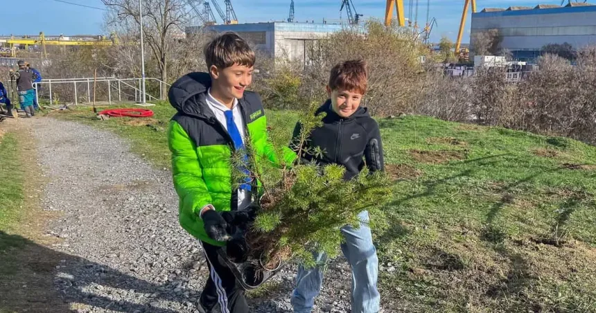 42.000 de dolari pentru tinerii din Tulcea. Granturi de până la 5.000