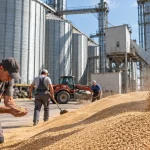 Criza grâului a dus la creșteri de 40% pe piețele mondiale
