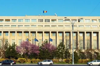Date publicate de Guvern despre conducerea a 121 de companii de stat