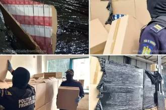 Patru milioane de țigări netimbrate, găsite într-un TIR la Nădlac