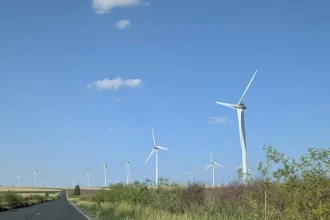 Rafale de vânt de până la 75 km/h în Tulcea, până miercuri