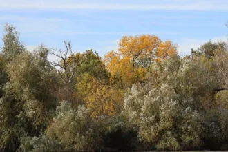 Toamna a sosit în Delta Dunării. Imagini superbe surprinse la echinocțiu