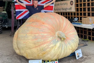 Baghera, dovleacul gigant care a stabilit un nou record mondial