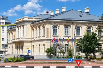 Delta Dunării în artă: Expoziția „Vulturu ’26” la Muzeul de Artă Tulcea