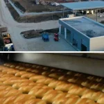 LIDAS, proces amânat până în 2027. Doi creditori cer scoaterea dosarului din Tulcea