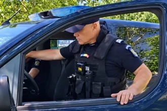 Nouă amenzi într-o zi pentru corturi și focuri ilegale în pădurile Tulcea