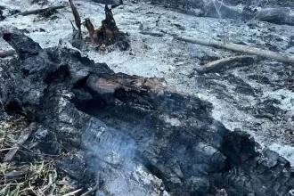Posibilă dronă prăbușită și incendiată la Plauru, neobservată de radare