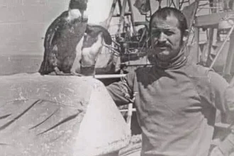 Serialul „Tatăl meu e marinar” revine pe TVR Cultural, cu o continuare în pregătire